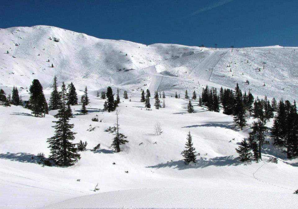 Planneralm Landgut Hotel Plannerhof מראה חיצוני תמונה